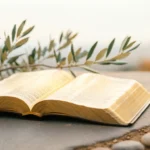 what does wisdom mean in the bible
