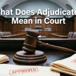 what does adjudicated mean in court