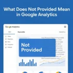 what does not provided mean in google analytics keywords